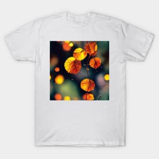 Autumn Love, Sixteen: T-Shirt